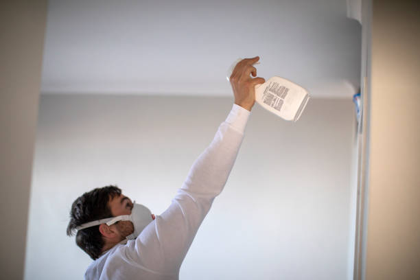 Best Mold Cleaning Services  in Mesita, NM