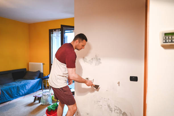 Best Mold Removal Process  in Mesita, NM